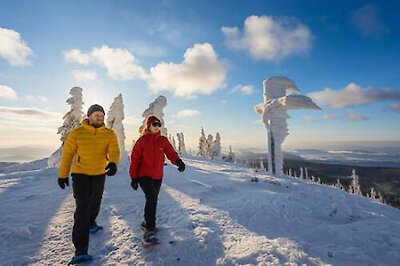 Urlaub im Winter im Bayerischen Wald - das perfekte Urlaubsziel